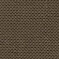 Braun 366